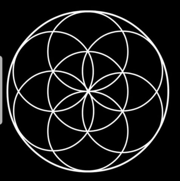 Meet your Posher, Joe - Picture 1 of 1